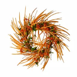 Worth Imports 22 in. Autumn Floral Wreath with Orange Blooms and Natural Twig Base thumbnail 1