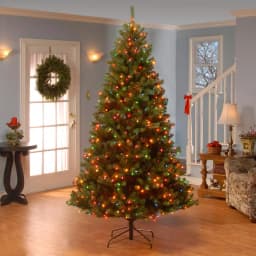 National Tree Company North Valley 7.5 ft. Spruce Artificial Christmas Tree with Dual Color LED Lights thumbnail 5