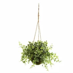 Nearly Natural Eucalyptus, Maidenhair, and Berry Faux Hanging Plant Set of 3 with Wicker Baskets thumbnail 2