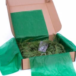VAN ZYVERDEN 15 ft. Fresh Cut Pacific Northwest Western Red Cedar Coil Garland thumbnail 5