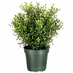 National Tree Company 30 in. Argentea Artificial Arborvitae Evergreen Bush in Green Round Growers Pot thumbnail 1