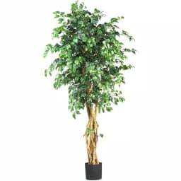 Nearly Natural 6 ft. Multi-Trunk Silk Ficus Tree, Palace Style Artificial Indoor Tree thumbnail 1