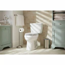 Delta Greenwich Telescoping Pivoting Freestanding Toilet Paper Holder, SpotShield Brushed Nickel thumbnail 5