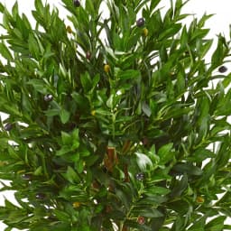 Nearly Natural 58 in. Artificial Olive Topiary Tree, UV-Resistant Indoor/Outdoor Greenery thumbnail 2