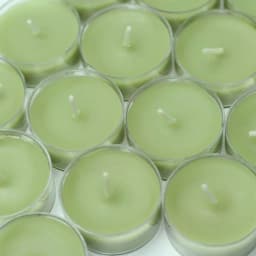 Zest Candle Sage Green Tealight Candles, 1.5 in. Diameter, 50-Pack thumbnail 2