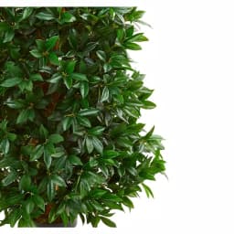 Nearly Natural 5ft. Bay Leaf Artificial Cone Topiary Tree - Indoor/Outdoor UV-Resistant Greenery thumbnail 2