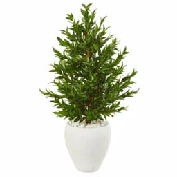 Nearly Natural 3.5-Ft. Artificial Olive Cone Topiary Tree with White Planter, Indoor/Outdoor UV-Resistant thumbnail 1