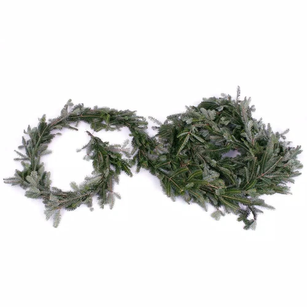 VAN ZYVERDEN 25 ft. Live Fresh Cut Blue Ridge Mountain Fraser Fir Holiday Garland