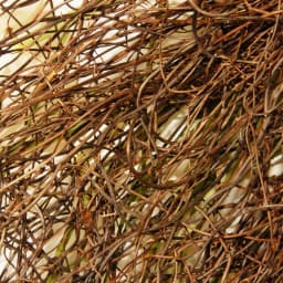 National Tree Company 24 in. White Tulip Wreath with Green Stems and Bristle Branch Base thumbnail 3