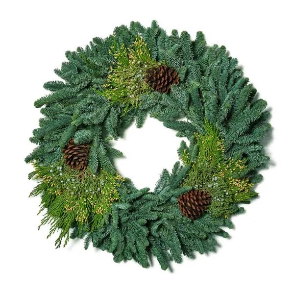 VAN ZYVERDEN 24 in. Fresh Cut Pacific Northwest Mixed Christmas Wreath with Noble Fir, Cedar, Juniper, and Pine Cones
