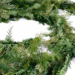 VAN ZYVERDEN 15 ft. Fresh Cut Pacific Northwest Douglas Fir and Western Red Cedar Mix Coil Garland thumbnail 5
