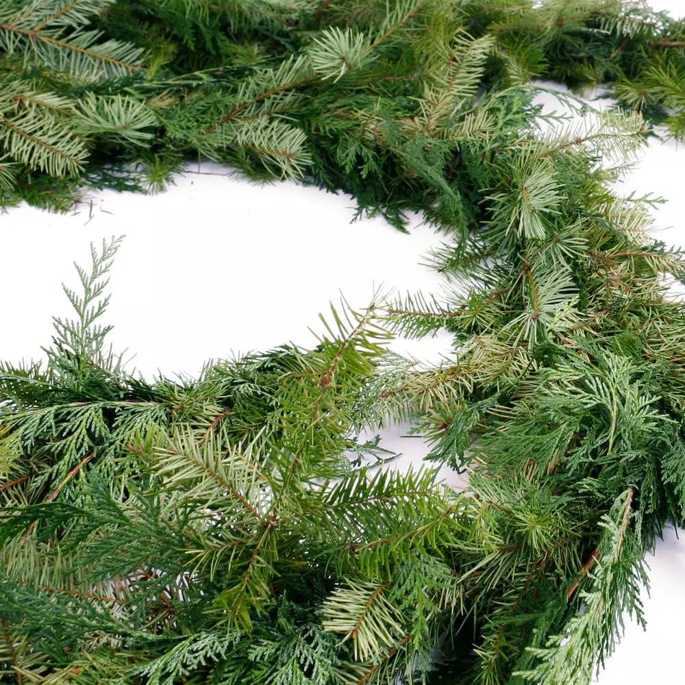 VAN ZYVERDEN 15 ft. Fresh Cut Pacific Northwest Douglas Fir and Western Red Cedar Mix Coil Garland