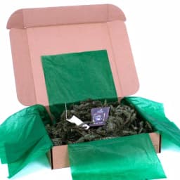 VAN ZYVERDEN 25 ft. Live Fresh Cut Blue Ridge Mountain Fraser Fir Holiday Garland thumbnail 4