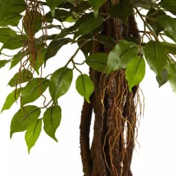 Nearly Natural 7.5 ft. UV Resistant Ficus Tree - Indoor/Outdoor Artificial Plant thumbnail 3