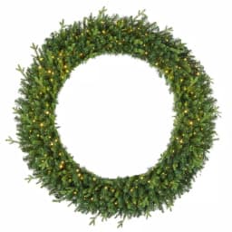 Home Accents Holiday 60 in. Jackson Noble Fir Artificial Wreath with 300 Warm White LED Micro Dot Lights thumbnail 1
