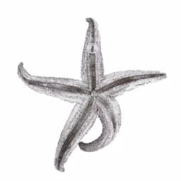 Unbranded Medium Starfish Wall Sculpture - Coastal Silver Pewter Resin Decor thumbnail 4