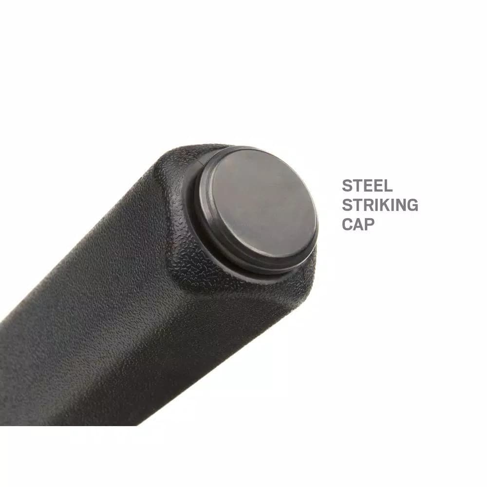 TEKTON 12 in. Angled Tip Pry Bar with Steel Striking Cap