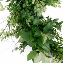 VAN ZYVERDEN 6 ft. Fresh Cut Pacific Northwest Deluxe Evergreen Holiday Garland Mix Coil Runner thumbnail 4