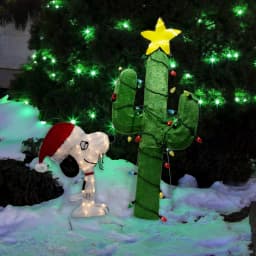 Peanuts 48 in. Peanuts Spike and Decorated Cactus 2D LED Pre-Lit Yard Decor thumbnail 2
