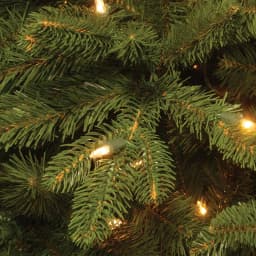 National Tree Company 14 ft. Ridgewood Spruce Slim Artificial Christmas Tree with 1300 Clear Lights thumbnail 3
