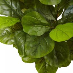Nearly Natural 4.5 ft. Real Touch Fiddle Leaf Fig Artificial Tree with White Clay Planter thumbnail 3