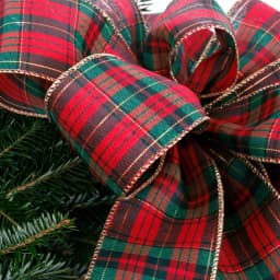VAN ZYVERDEN 24 in. Live Fresh Cut Blue Ridge Mountain Fraser Fir Decorated Christmas Wreath with Bow thumbnail 2