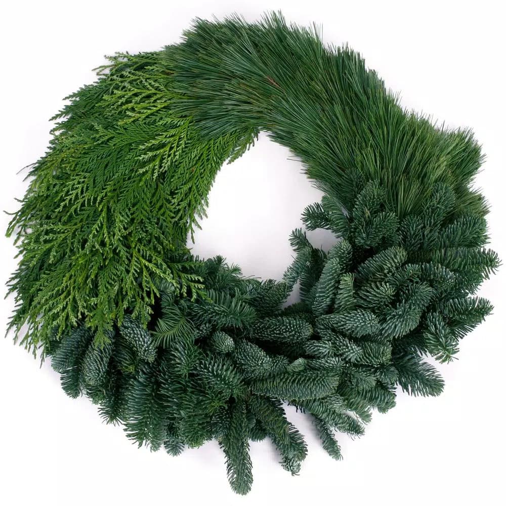 VAN ZYVERDEN 24 in. Live Fresh Cut Pacific Northwest Modern Block Christmas Wreath - Noble Fir, Cedar, and Pine