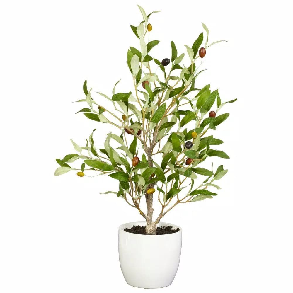 Nearly Natural 18 in. Green Olive Silk Tree with White Vase (Set of 2)