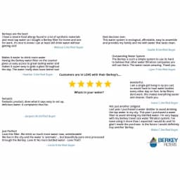 Berkey Black Water Filter Replacement Elements - Set of 2 thumbnail 6