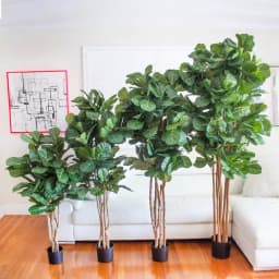 Nearly Natural 7 ft. Fiddle Leaf Fig Artificial Tree with Multiple Trunks and Black Pot thumbnail 5