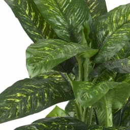 Nearly Natural Real Touch 5 ft. Green Dieffenbachia Silk Potted Plant thumbnail 3