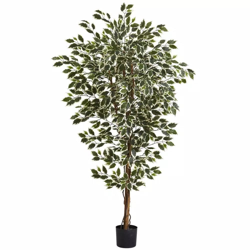 Nearly Natural 6 ft. Hawaiian Ficus Tree with Variegated Green and White Foliage in Black Pot