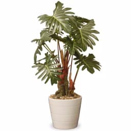 National Tree Company 21 in. Artificial Philodendron Plant in White Ceramic Pot thumbnail 1