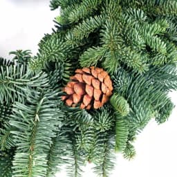 VAN ZYVERDEN 16 in. Live Fresh Cut Pacific Northwest Noble Fir Christmas Wreath with Pine Cones thumbnail 3