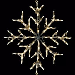 Fraser Hill Farm 30 in. LED Snowflake Specialty Light, 100 Warm White Lights thumbnail 1