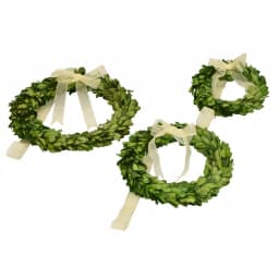 Unbranded Set of 3 Preserved Boxwood Wreaths, Round Green Decorative Wreaths (6 in, 8 in, 10 in) thumbnail 1