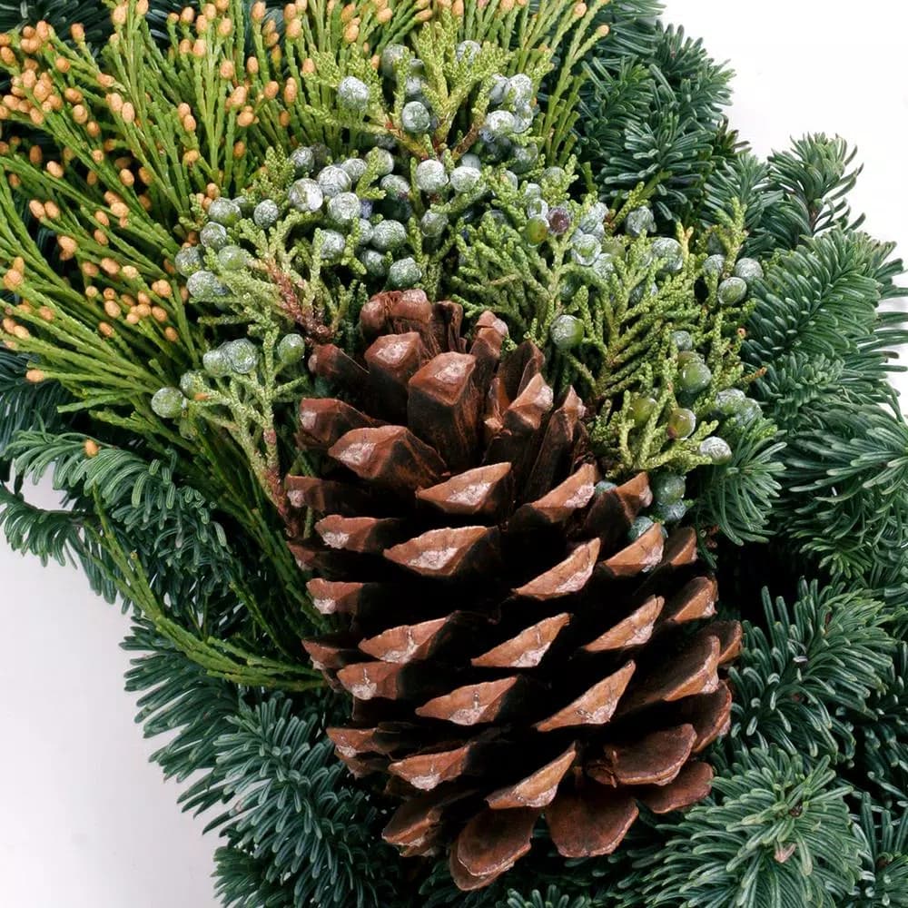VAN ZYVERDEN 24 in. Fresh Cut Pacific Northwest Mixed Christmas Wreath with Noble Fir, Cedar, Juniper, and Pine Cones