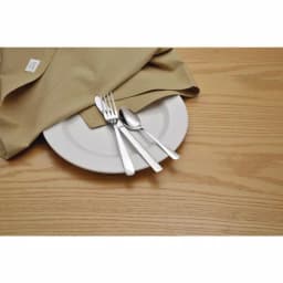 Oneida Heavy Windsor 18/0 Stainless Steel Teaspoons, 36-Piece Set thumbnail 5