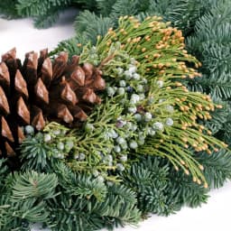 VAN ZYVERDEN 24 in. Fresh Cut Pacific Northwest Mixed Christmas Wreath with Noble Fir, Cedar, Juniper, and Pine Cones thumbnail 5