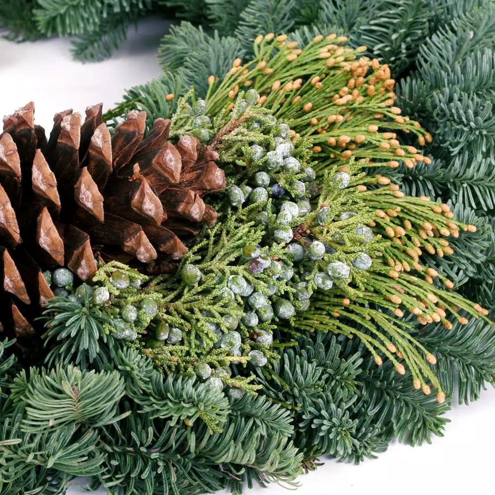 VAN ZYVERDEN 24 in. Fresh Cut Pacific Northwest Mixed Christmas Wreath with Noble Fir, Cedar, Juniper, and Pine Cones