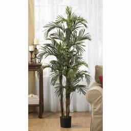 Nearly Natural 5 ft. Robellini Palm Artificial Silk Tree - Indoor Tropical Greenery thumbnail 2