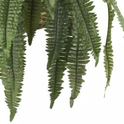 Nearly Natural Large Artificial Boston Fern Hanging Basket - Green Silk Plant in Wicker Pot thumbnail 3