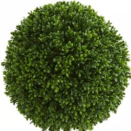 Nearly Natural 2.5 ft. UV Resistant Artificial Boxwood Ball Topiary Tree with Black Pot thumbnail 2