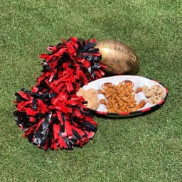 Magnolia Lane Georgia Ceramic Football Tailgating Serving Platter, 3-Section Divided Dish thumbnail 4
