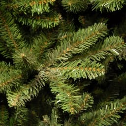 National Tree Company 7.5 ft. Natural Fraser Slim Fir Artificial Christmas Tree thumbnail 3