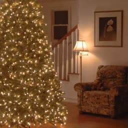 National Tree Company 6.5 ft. Jersey Fraser Fir Artificial Christmas Tree with 900 Clear Lights thumbnail 2