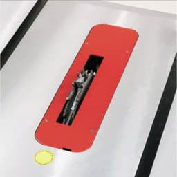 Bosch TS1013 Dado Cutter Insert for GTS1031 Portable Table Saw thumbnail 1