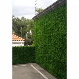 Greensmart Decor Artificial Maya Wall Panels, 20 in. x 20 in. (Set of 4) thumbnail 4