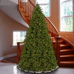 National Tree Company 12 ft. Jersey Fraser Fir Artificial Christmas Tree with 2000 Clear Lights thumbnail 2