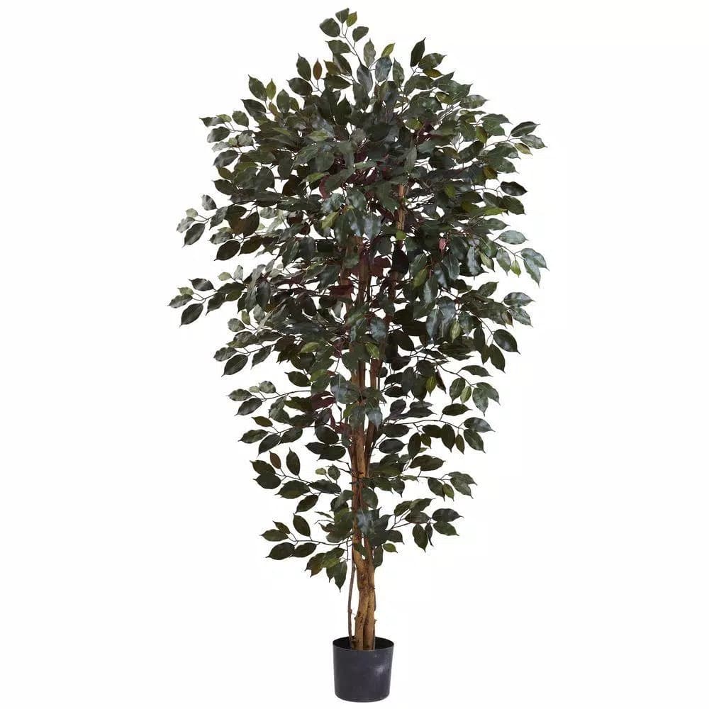 Nearly Natural 6 ft. Capensia Ficus Artificial Tree with 1,008 Leaves and Natural Trunks